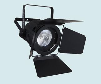 Dmx 100w Cob Led Par Light White / Warm White Color Stage Wedding Lights Fixture