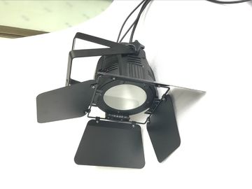 Yüksek Parlaklık Led Par Sahne Işıkları / Uzun Hizmet Ömrü Led Par Can Işık