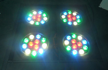 Led Kitle Dmx Blinder Işık 4 Göz Rgbw DJ Sahne Aydınlatma Profesyonel Işık