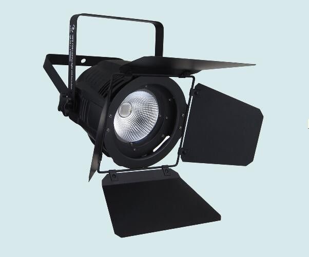 Dmx 100w Cob Led Par Light White / Warm White Color Stage Wedding Lights Fixture
